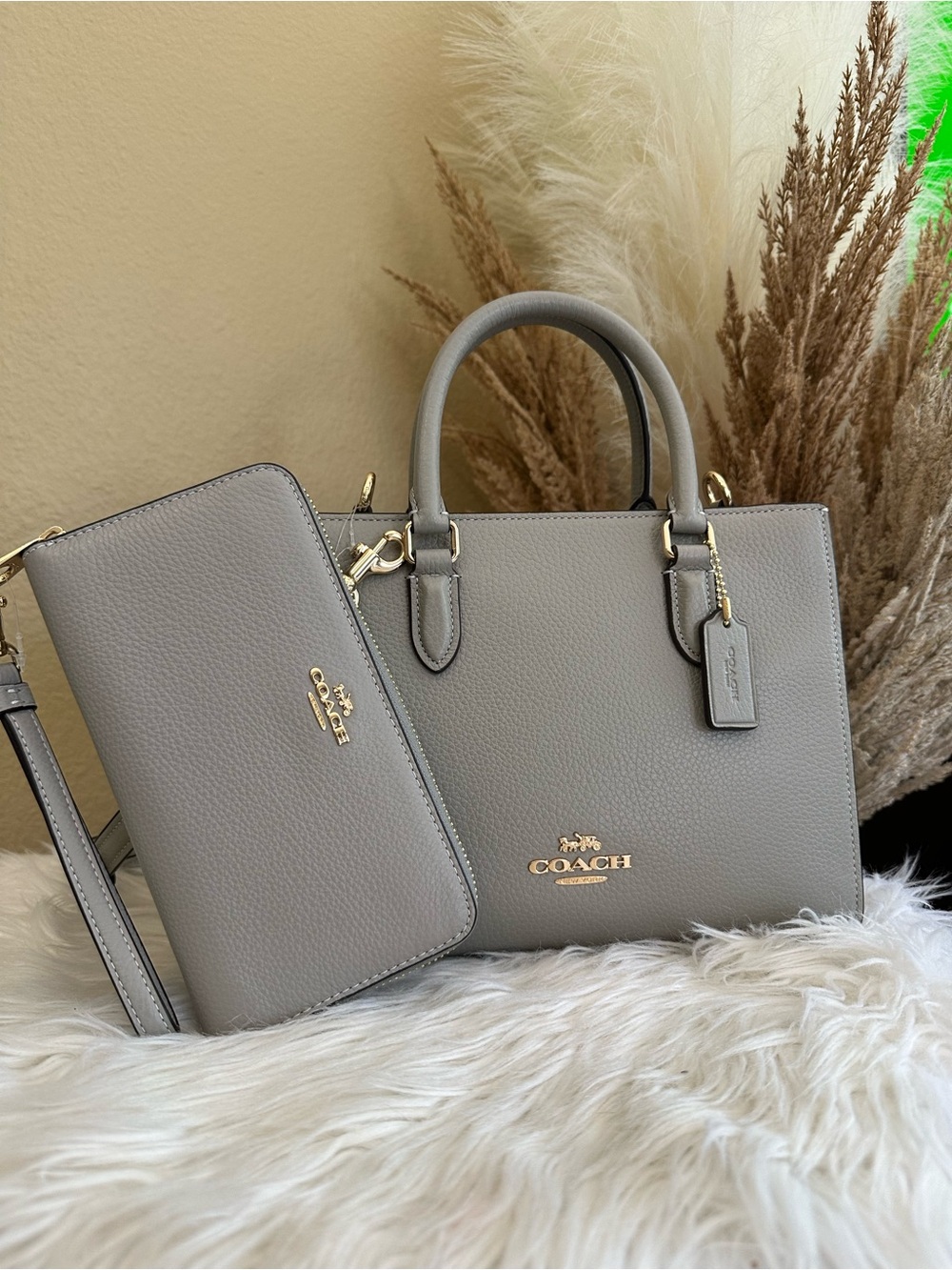 Coach Maggie Small Tote Bag and wallet set - Picture 14 of 16